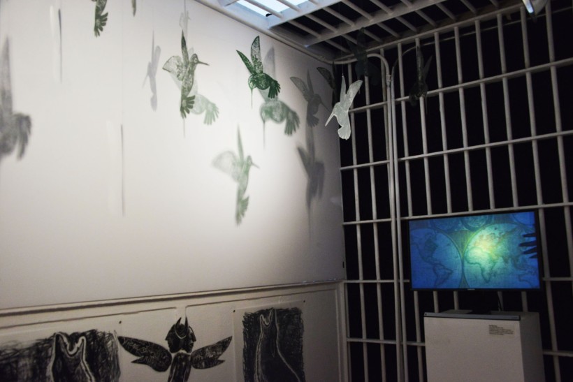 Hummingbirds and video installation in Poli Marichal’s “Sin Fronteras”. 